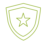 secure icon