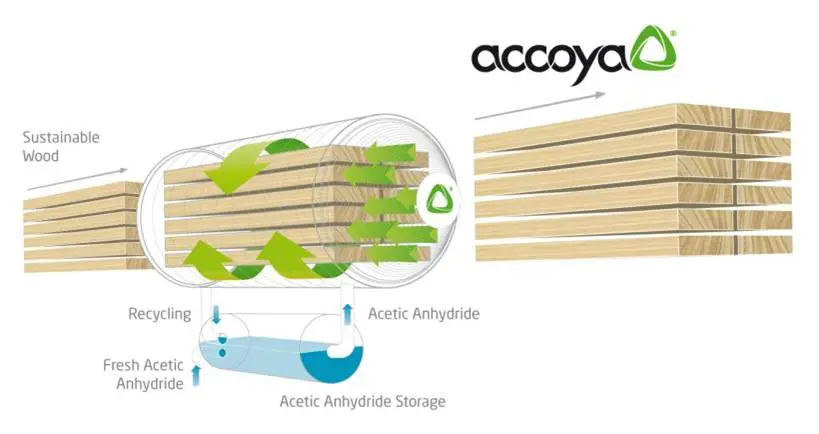 Accoya diagram