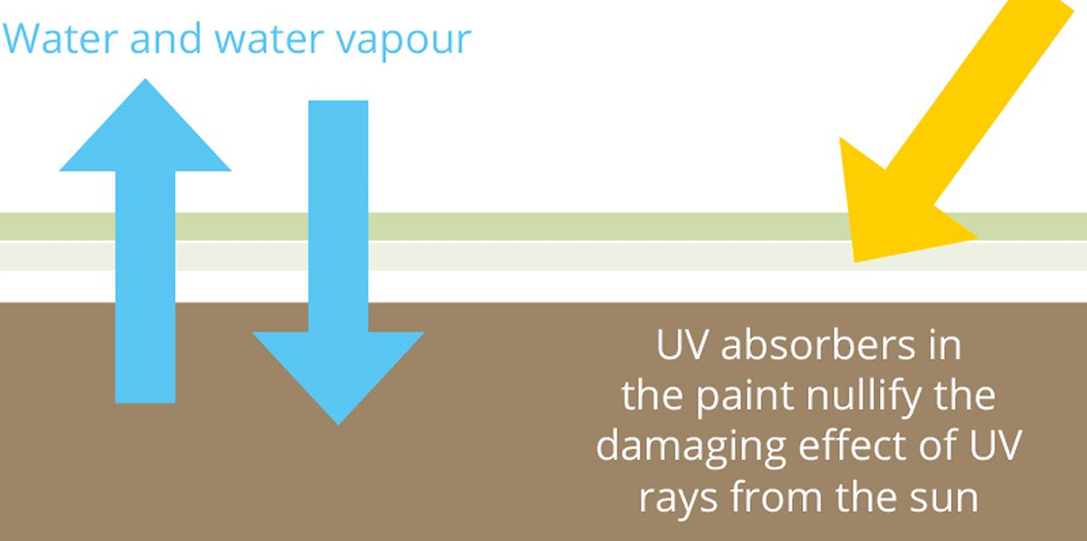 water and water vapour
